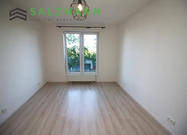 Pronájem bytu 1+kk, Plzeň, Nemocniční, 29 m2