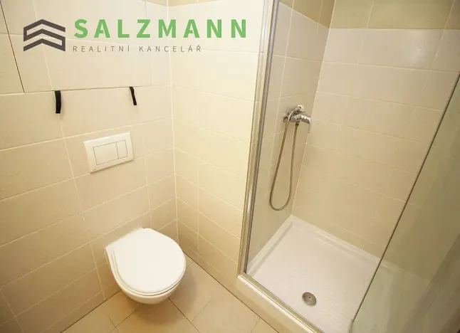 Pronájem bytu 1+kk, Plzeň, Nemocniční, 29 m2
