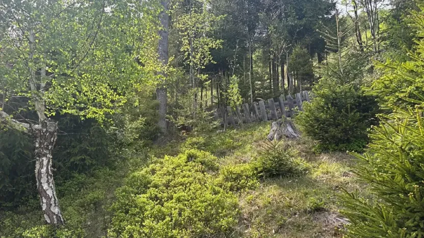 Prodej chaty, Košařiska, 49 m2