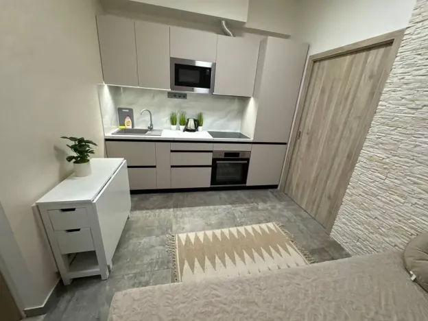 Pronájem bytu 2+kk, Praha - Nové Město, Sokolská, 33 m2