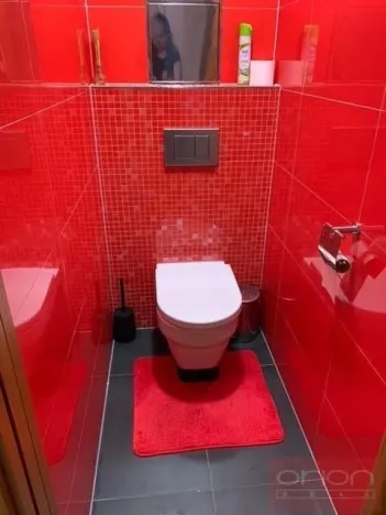 Pronájem bytu 1+kk, Praha - Vinohrady, Uruguayská, 60 m2