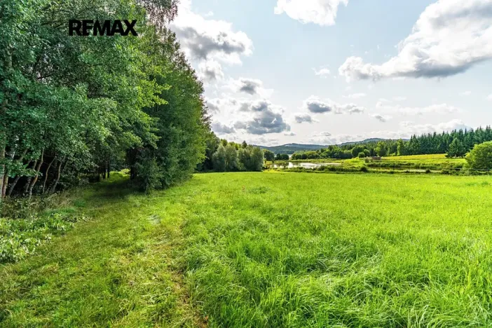 Prodej pozemku, Nová Pec, 9752 m2