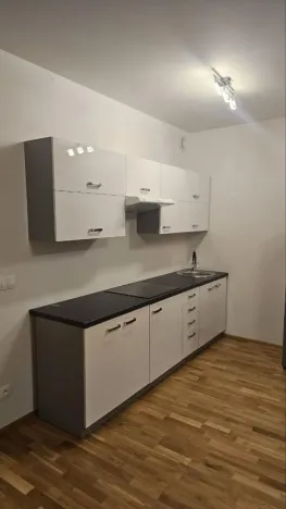 Pronájem bytu 1+kk, Praha - Karlín, Breitfeldova, 37 m2