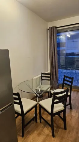 Pronájem bytu 1+kk, Praha - Karlín, Breitfeldova, 37 m2