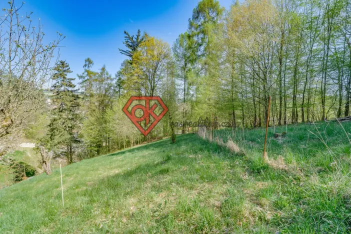 Prodej chaty, Letohrad - Červená, 50 m2