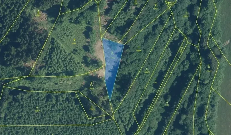 Dražba lesa, Hovězí, 910 m2