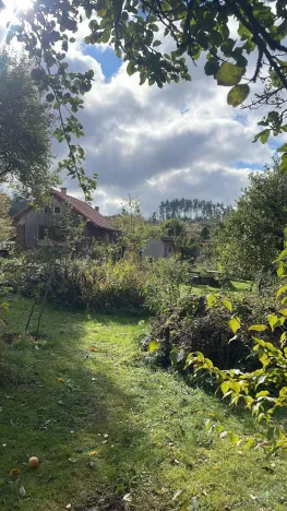 Prodej rodinného domu, Nová Ves u Mladé Vožice - Horní Střítež, 150 m2