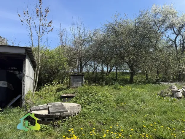 Prodej obchodního prostoru, Opařany - Oltyně, 300 m2