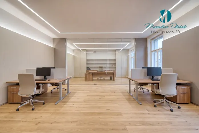 Pronájem obchodního prostoru, Hradec Králové, S. K. Neumanna, 250 m2
