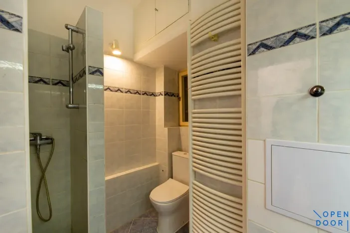 Pronájem bytu 1+kk, Praha - Podolí, Podolská, 35 m2