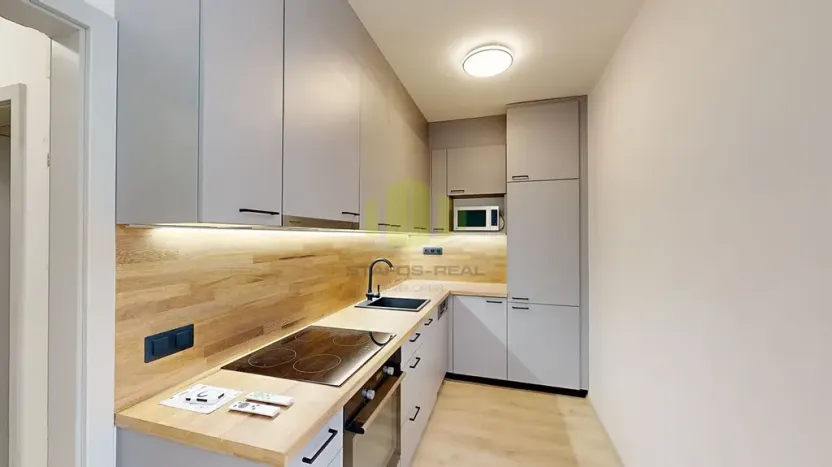 Pronájem bytu 1+kk, Olomouc, Wolkerova, 43 m2