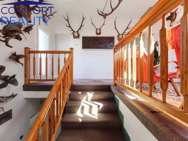 Prodej rodinného domu, Hať, Sportovců, 250 m2