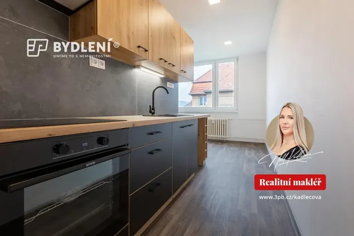 Pronájem bytu 3+1, Teplice, Jugoslávská, 81 m2
