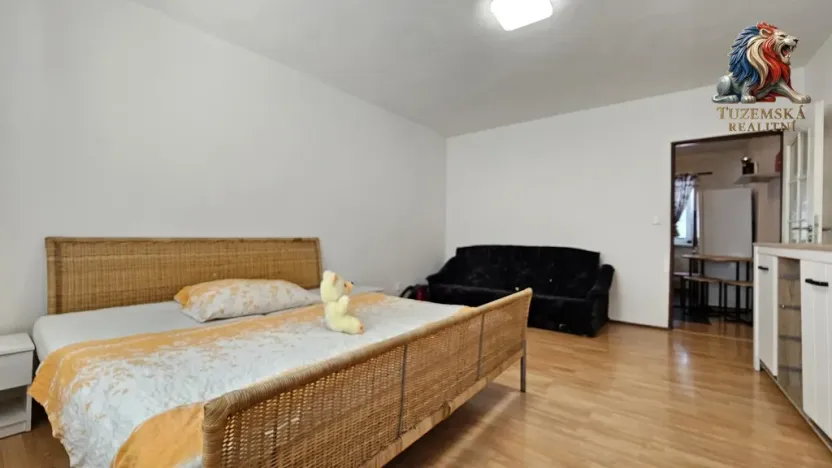 Pronájem bytu 1+1, Sebranice, 30 m2