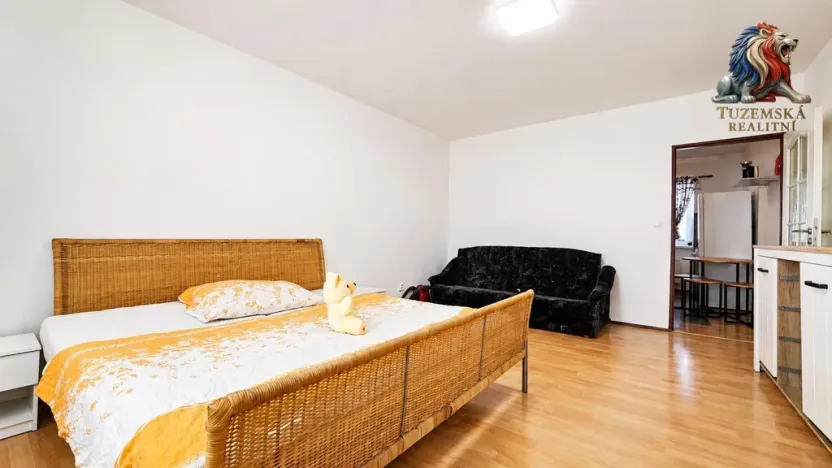 Pronájem bytu 1+1, Sebranice, 30 m2