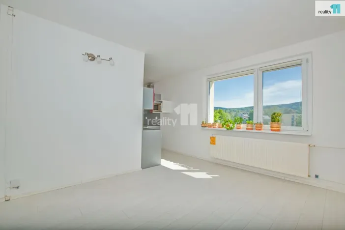 Prodej bytu 2+kk, Liberec - Liberec XIV-Ruprechtice, Borový vrch, 42 m2