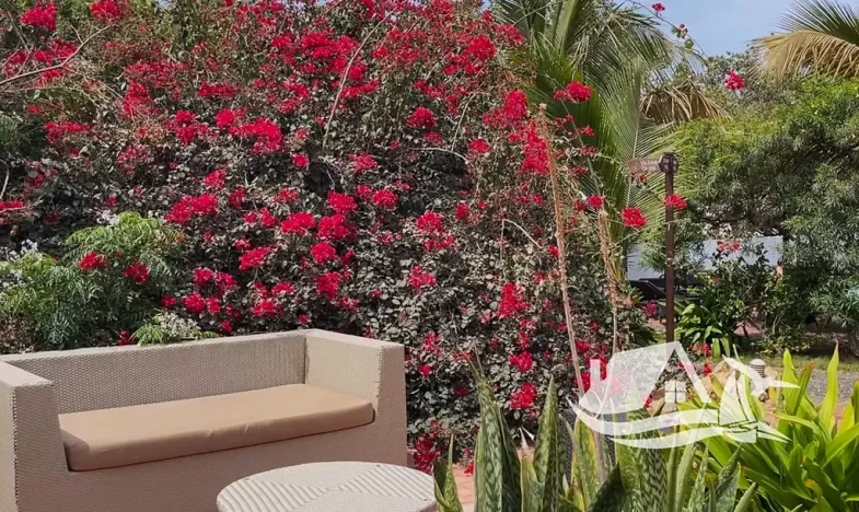 Prodej atypického bytu, Santa Maria, Kapverdy, 41 m2