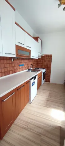 Pronájem bytu 2+1, Ostrava, Svojsíkova, 54 m2