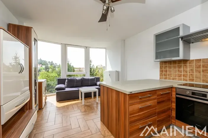 Pronájem bytu 2+kk, Plzeň, Klatovská, 40 m2