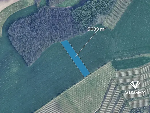 Prodej podílu pole, Těšany, 355 m2