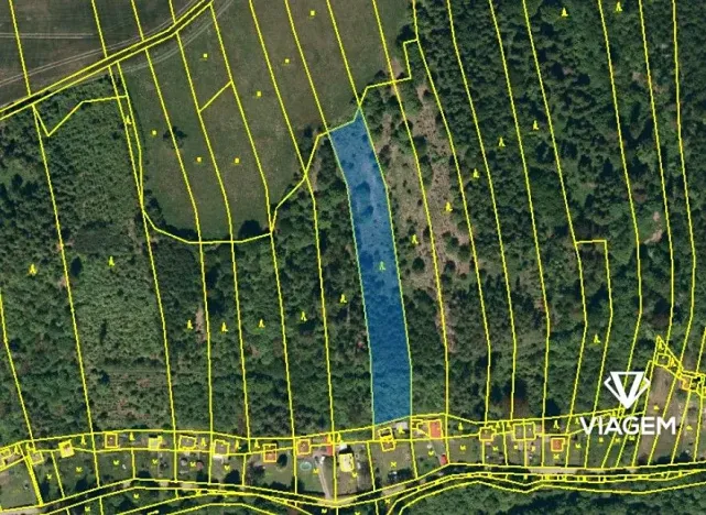 Prodej lesa, Hradec nad Moravicí, 3777 m2