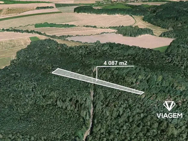 Prodej lesa, Hradiště, 4087 m2