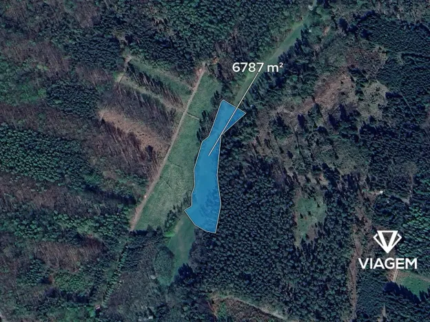 Prodej podílu pole, Morašice, 3959 m2
