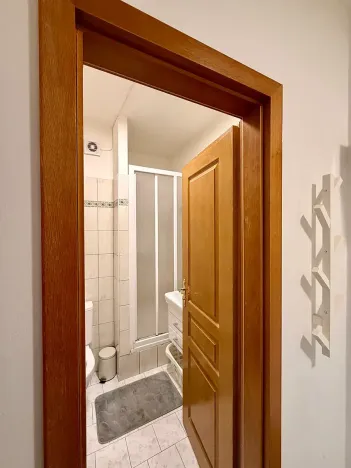 Prodej bytu 2+kk, Praha - Žižkov, Dalimilova, 52 m2