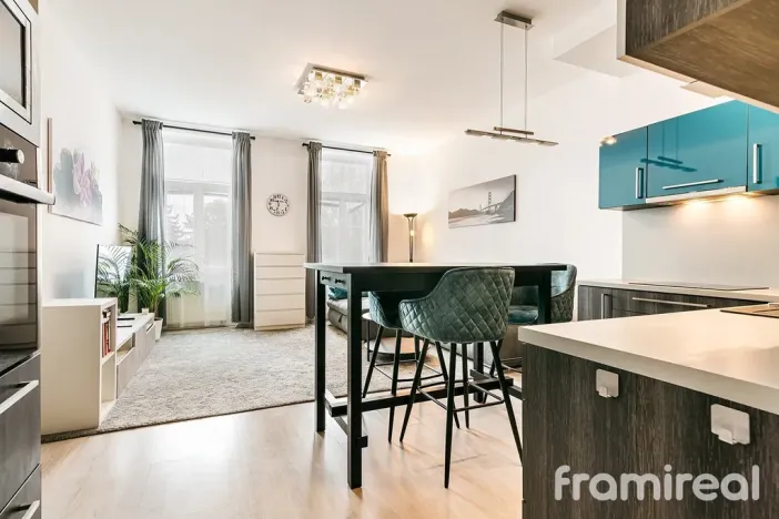Pronájem bytu 2+kk, Brno, Reissigova, 56 m2