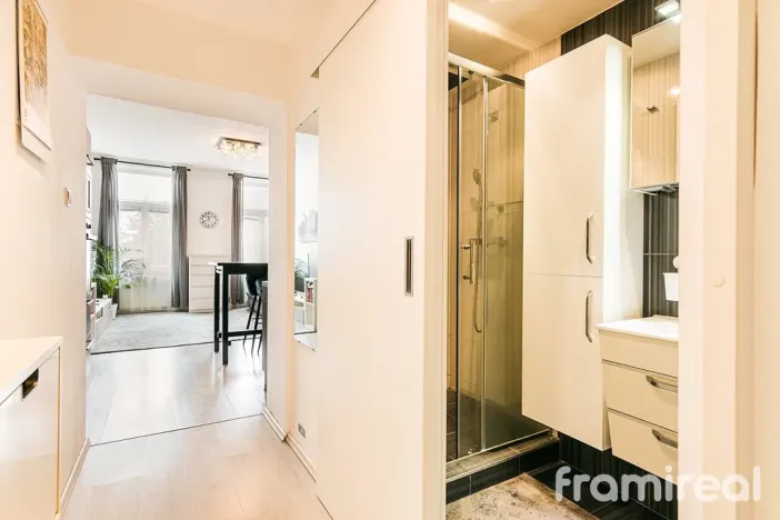 Pronájem bytu 2+kk, Brno, Reissigova, 56 m2
