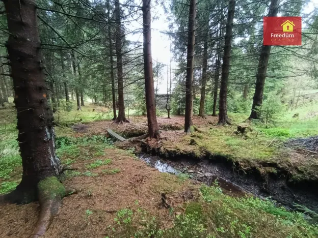 Prodej chaty, Moldava, 35 m2