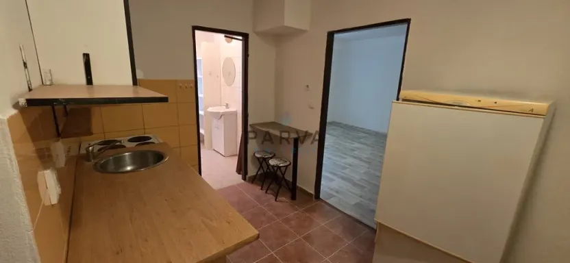 Pronájem bytu 1+1, Plzeň - Východní Předměstí, Guldenerova, 34 m2