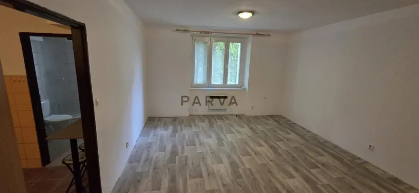 Pronájem bytu 1+1, Plzeň - Východní Předměstí, Guldenerova, 34 m2