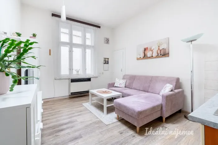 Pronájem bytu 2+kk, Praha - Staré Město, U staré školy, 45 m2