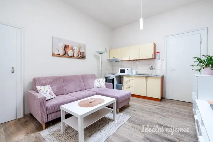 Pronájem bytu 2+kk, Praha - Staré Město, U staré školy, 45 m2