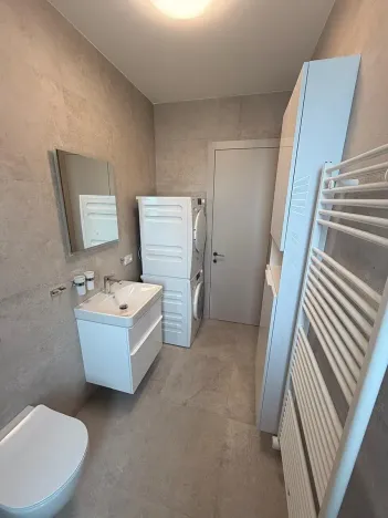 Pronájem bytu 2+kk, Hajany, 50 m2