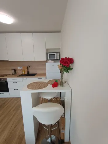 Pronájem bytu 1+kk, Hodonín, Žižkova, 23 m2