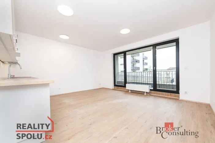 Pronájem bytu 1+kk, Plzeň, Železná, 40 m2