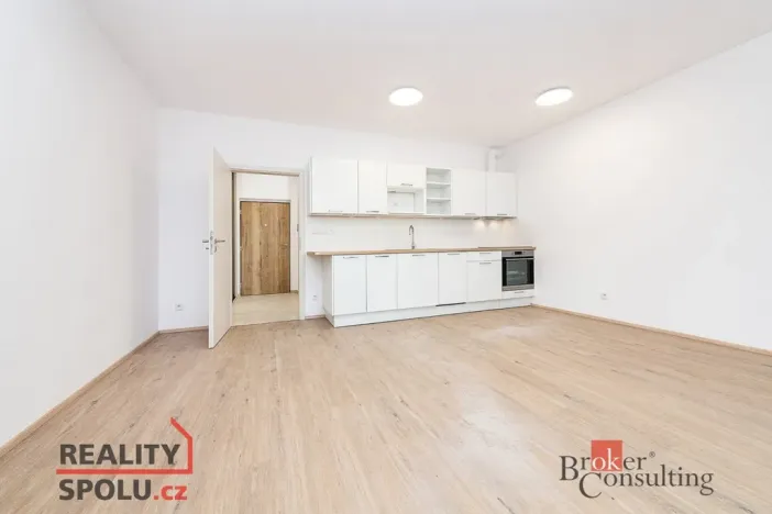 Pronájem bytu 1+kk, Plzeň, Železná, 40 m2