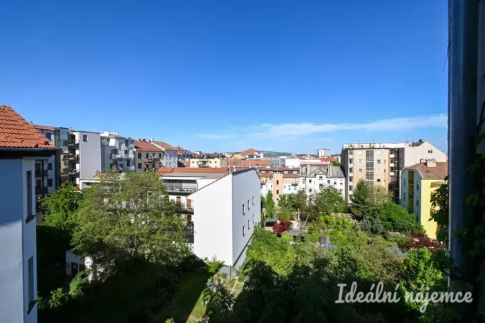 Pronájem bytu 2+1, Brno, Čápkova, 67 m2