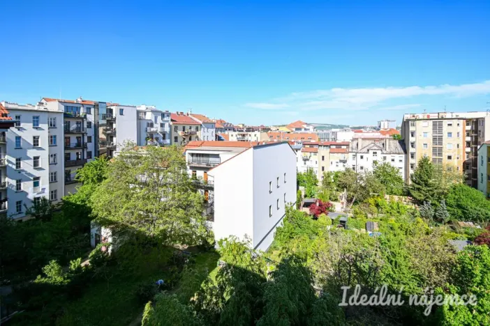 Pronájem bytu 2+1, Brno, Čápkova, 67 m2