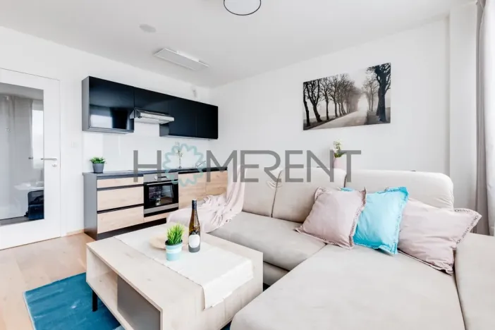 Pronájem bytu 1+kk, Praha - Vinohrady, Perucká, 26 m2