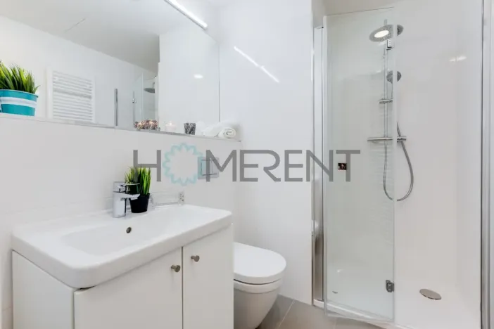 Pronájem bytu 1+kk, Praha - Vinohrady, Perucká, 26 m2
