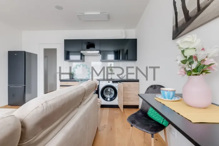Pronájem bytu 1+kk, Praha - Vinohrady, Perucká, 26 m2