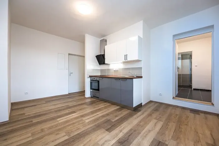 Pronájem bytu 3+kk, Praha - Libeň, Kurta Konráda, 58 m2