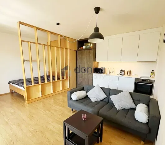 Pronájem bytu 1+kk, Praha, U jízdárny, 41 m2