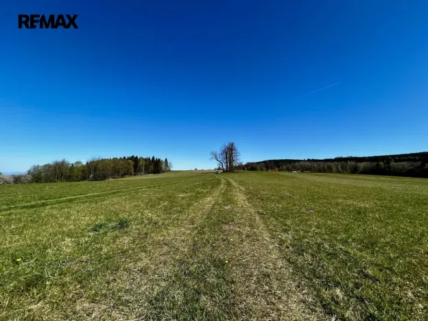 Prodej chalupy, Kounov - Šediviny, 160 m2