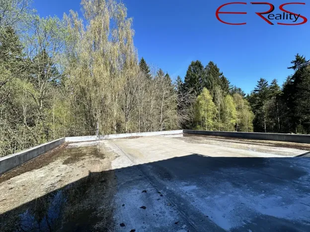 Prodej rodinného domu, Pěnčín - Alšovice, 394 m2