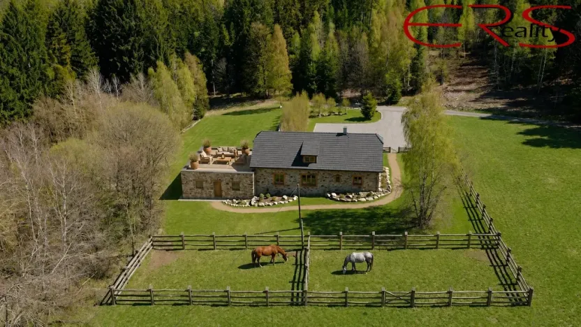 Prodej rodinného domu, Pěnčín - Alšovice, 394 m2
