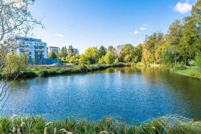 Pronájem bytu 1+kk, Praha - Vysočany, Poděbradská, 39 m2